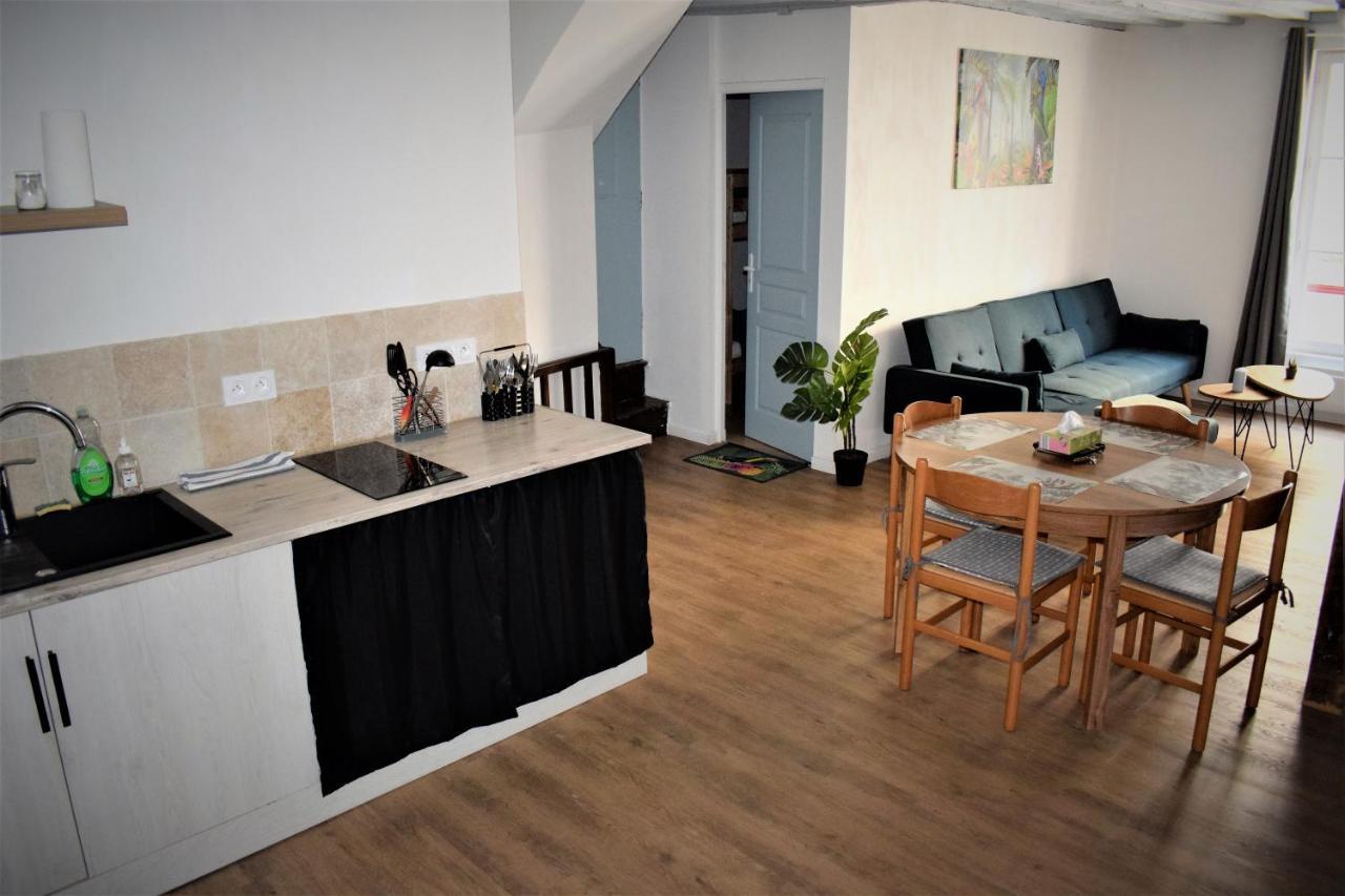 Gite Le Nid Des Zoo Zio, 5Mn Beauval, Appartement Terrasse Centre-Ville Saint-Aignan  Exterior foto