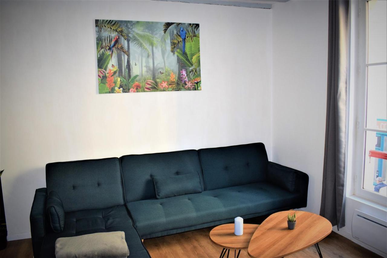 Gite Le Nid Des Zoo Zio, 5Mn Beauval, Appartement Terrasse Centre-Ville Saint-Aignan  Exterior foto