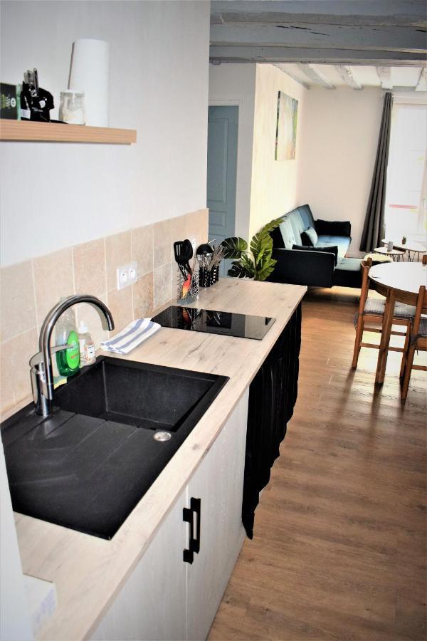 Gite Le Nid Des Zoo Zio, 5Mn Beauval, Appartement Terrasse Centre-Ville Saint-Aignan  Exterior foto